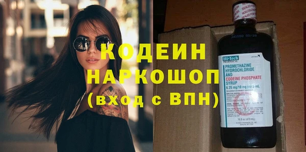 молекула духа Арсеньев