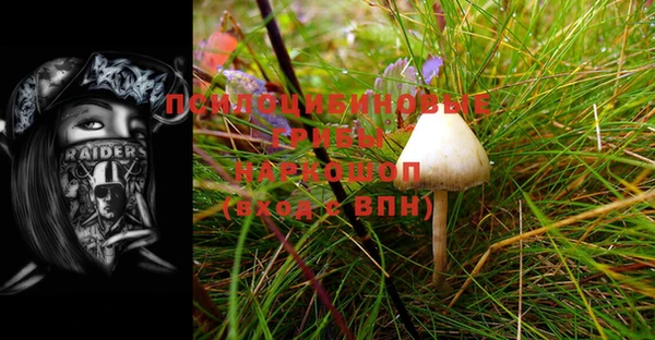 шишки Балахна