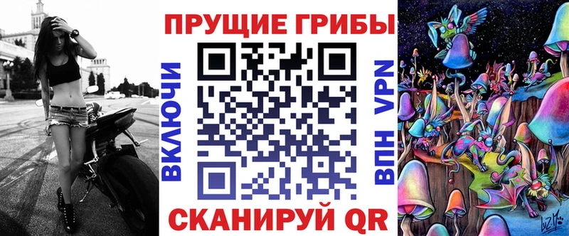 что такое   Реутов  Псилоцибиновые грибы мицелий 